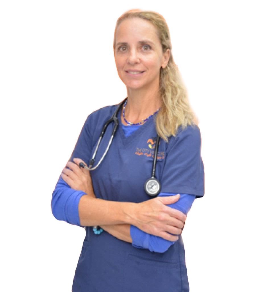 vet clinic in dubai - Best vet - veterinary in dubai
